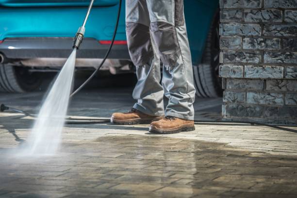 Best Driveway Pressure Washing  in Jasper, FL