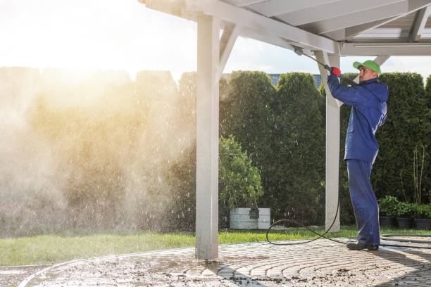 Best Graffiti Removal  in Jasper, FL